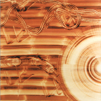 Oil on Masonite, 122×122 cm, 1994