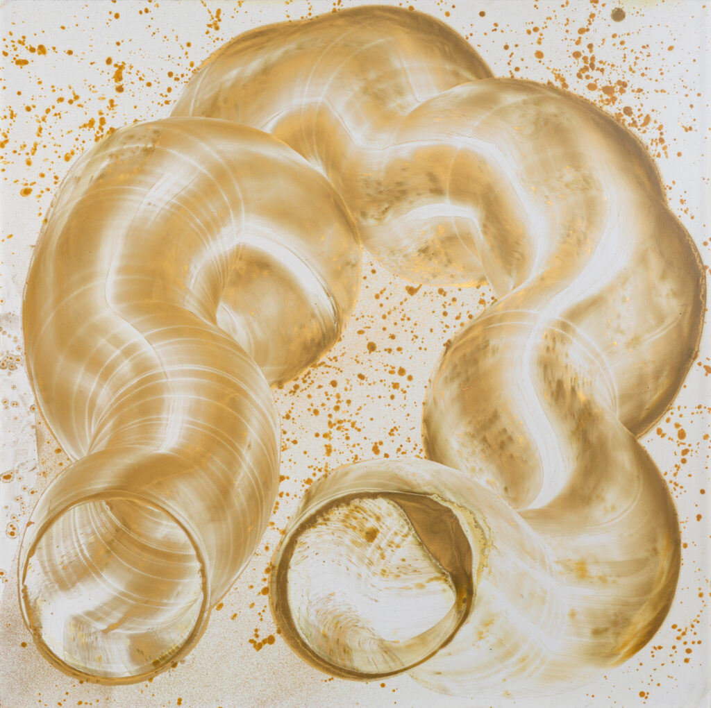 * Oil and Gold Dust on Aluminum, 100 x 100 cm, 2025