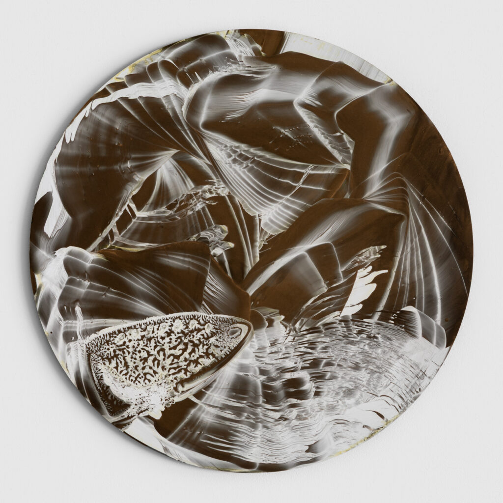 * Oil and Gold Dust on Aluminum, diameter 50 cm, 2025
