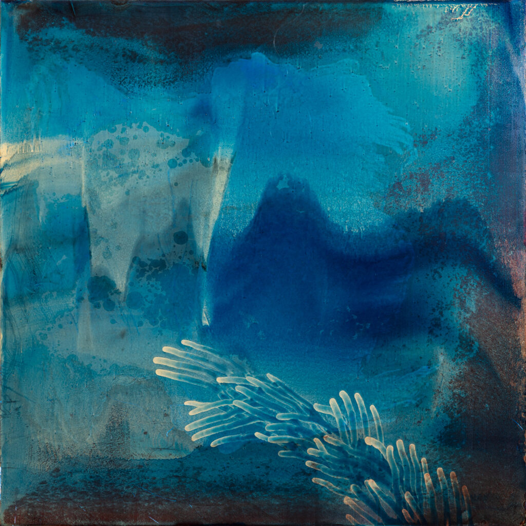 * Oil and Gold Dust on Aluminum, 100 x 100 cm, 2026