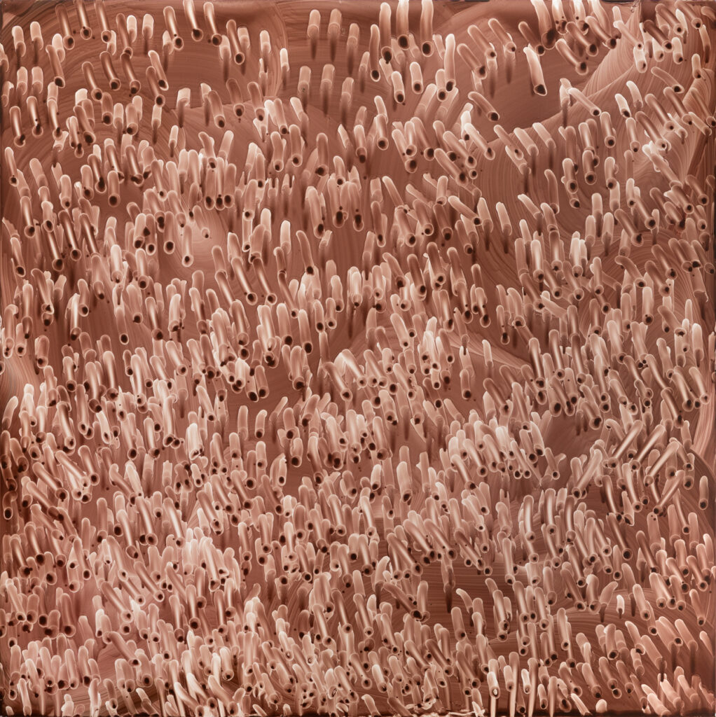 * Oil on Aluminum, 100 x 100 cm, 2026