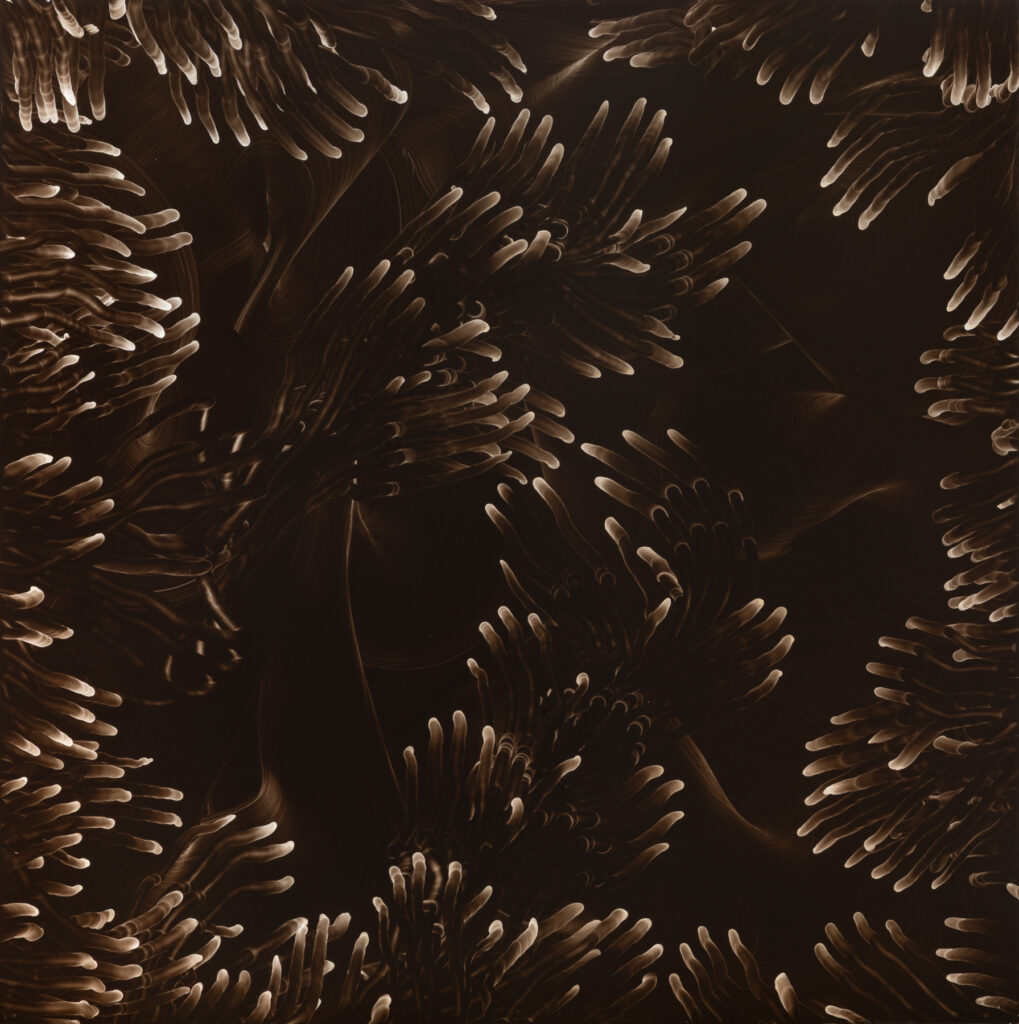 * Oil on Aluminum, 100 x 100 cm, 2026